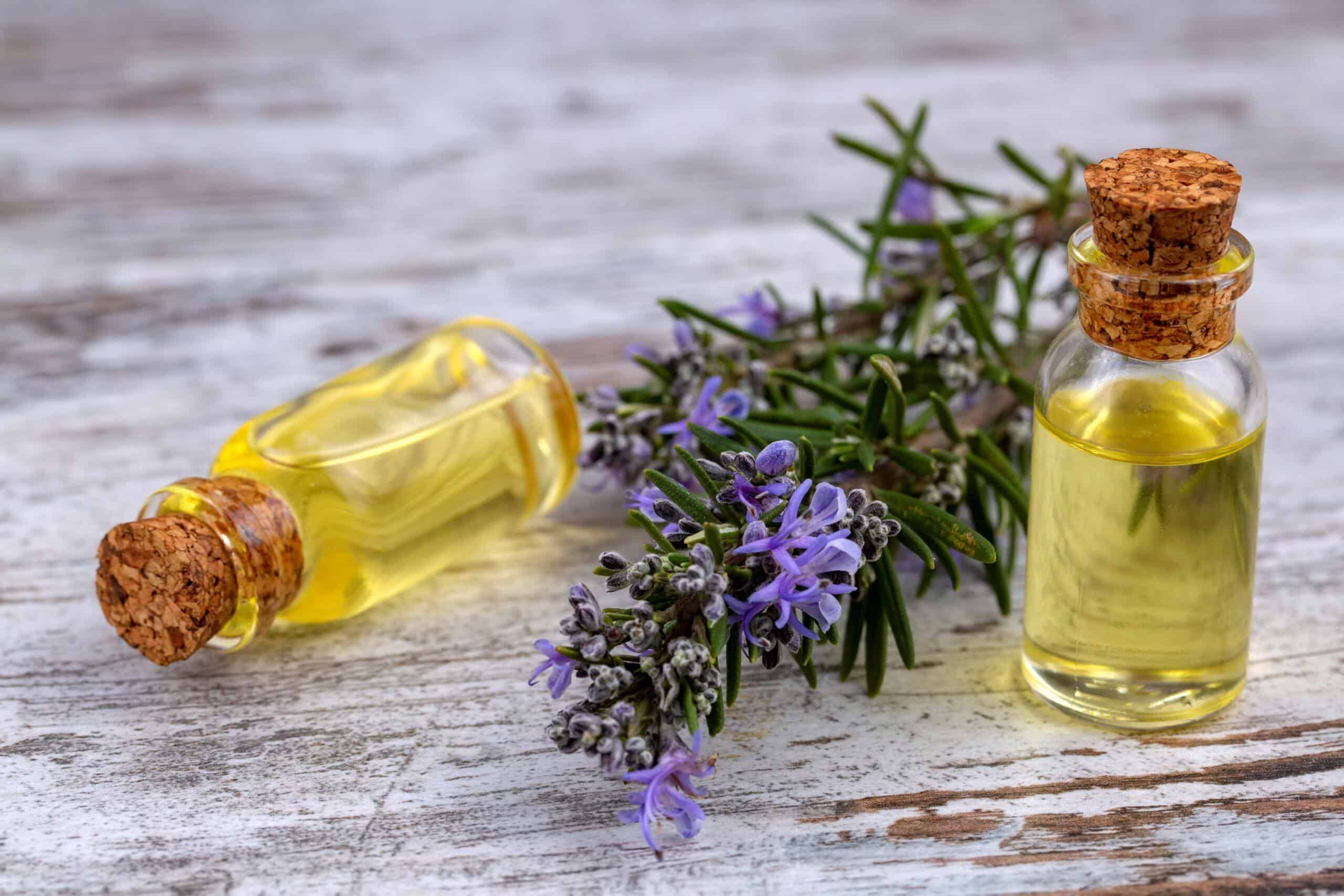 comparing rosemary oil to other hair growth treatments